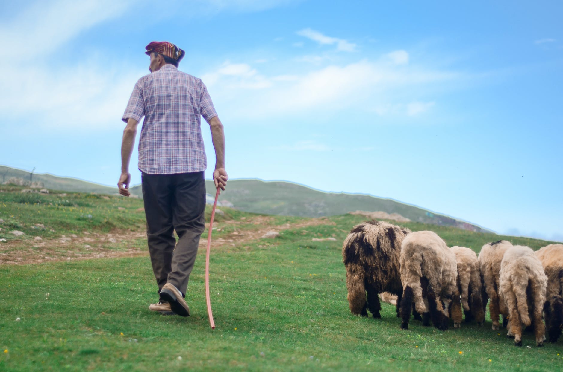 A Shepherd’s Call by Barbara Neiman