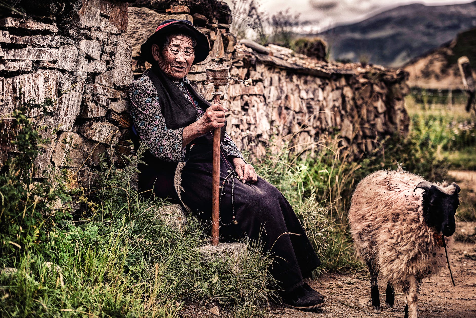 woman sitting on rock beside wall and near sheep