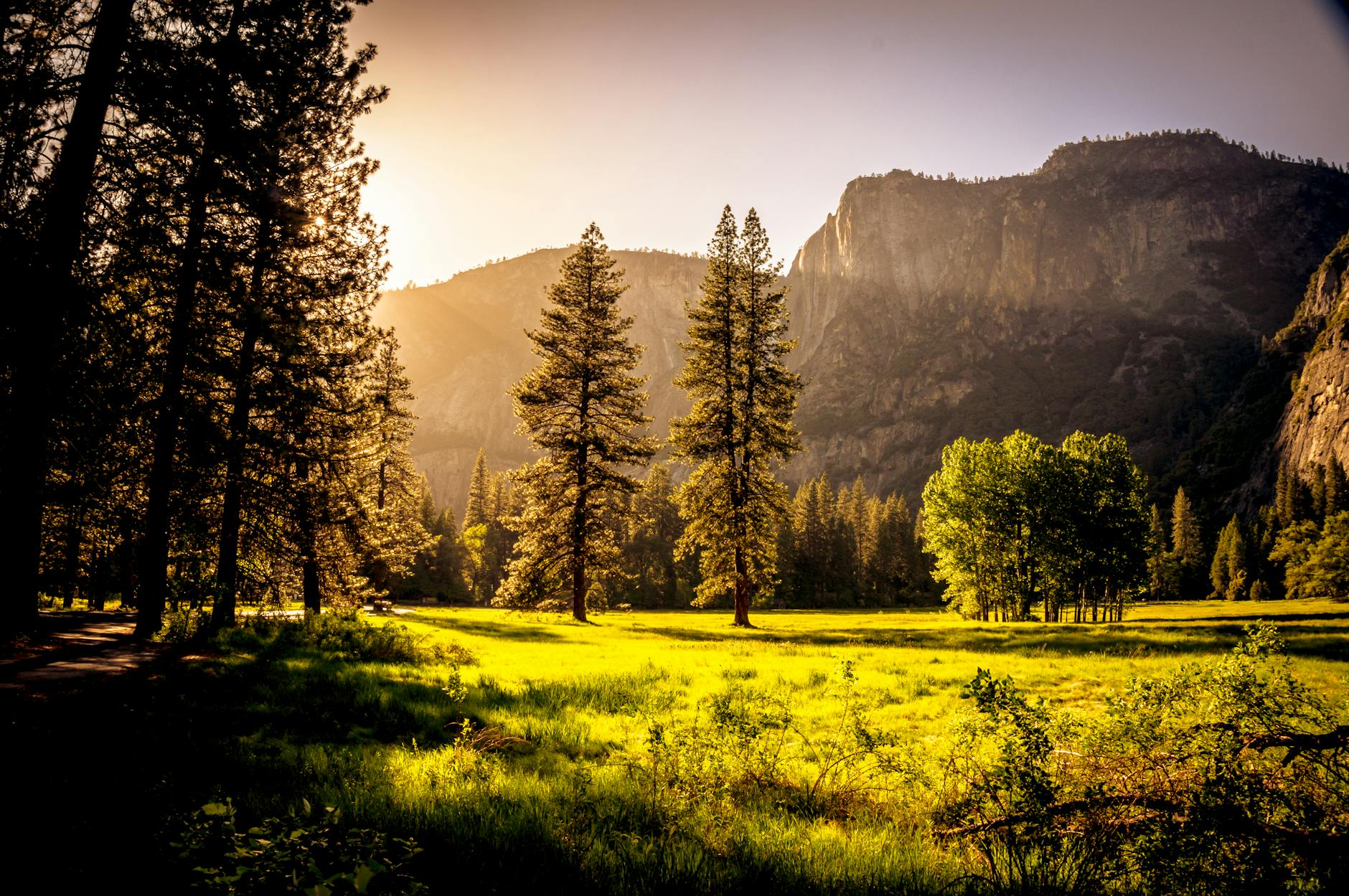 Follow The Signs by Tom Giesecke